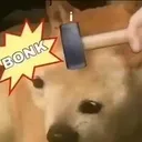 cheemsbonk