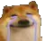 wideborkcry