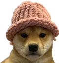 dogwifhat
