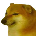 cheems