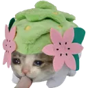 SadcatShaymin Discord Emoji