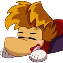 RayPillow