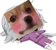 Whenkawaiidogefacegetsatyou