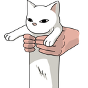 cattop Discord emoji