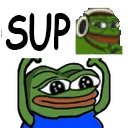 incogsup