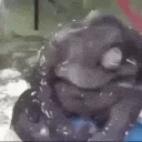 howdidhefallofftheballifhesamonk