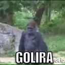 flyinggorillaontheappstore flyinggorillaontheappstore