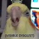 Disgust