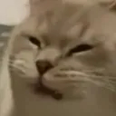 MasonDisgust MasonDisgust