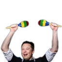 elonmariachicheer elonmariachicheer