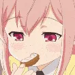 dNomSip dNomSip