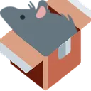 rat_in_package