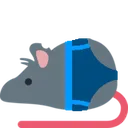 rat_briefs