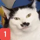 SCmustachePING