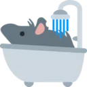 rat_bath