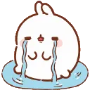 nb_cry
