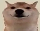dogggy