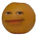 OJ OJ