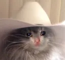 SadCat3
