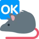rat_ok
