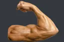 ArmRight ArmRight