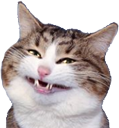 :catsmile: