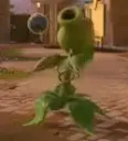peashooterclap