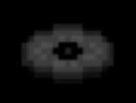 :stal: Discord Emote