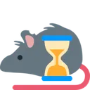 rat_hourglass