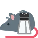 rat_salt