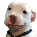 d_MikiesWebo Discord emoji