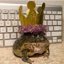 harold