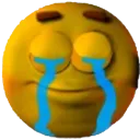 IntjCry