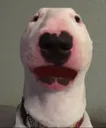 walter