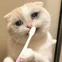 emoji_51