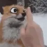 derpboopfox derpboopfox