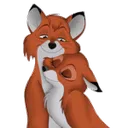 snugglingfox snugglingfox
