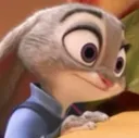 JudyRee JudyRee