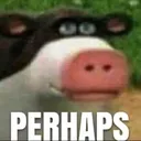 perhaps
