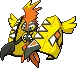 tapukoko