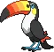 toucannon