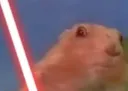 darth_squirrle