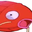 karpOMG karpOMG