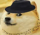 redditdoge