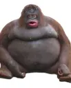 r_monke