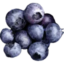 Blueberry blueberry Discord Emoji