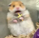 Ow_God