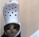 CE_sadcat5 CE_sadcat5