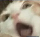 D2S_C_AAAAA