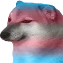 C2_cheemsTRANS